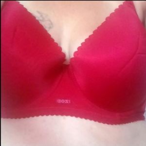 Izod bra NWT burgundy size 40D
